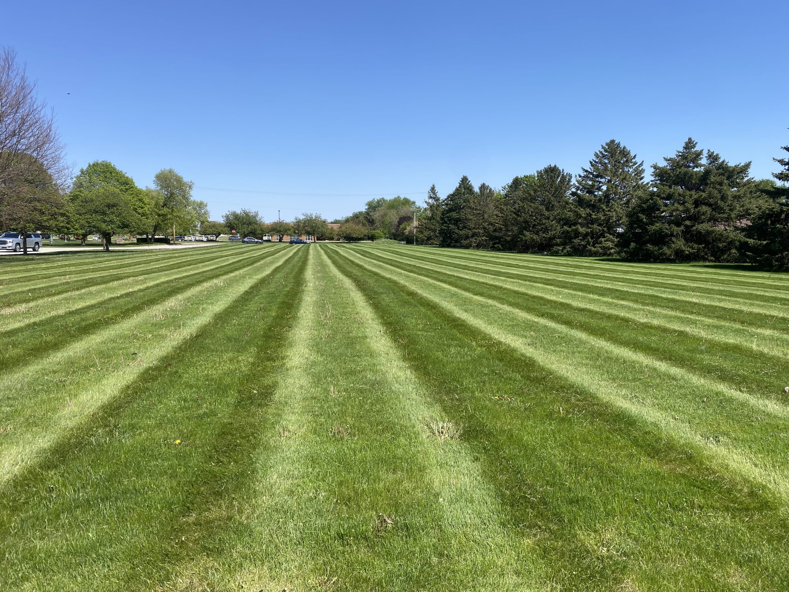 Keep your lawn looking pristine with regular mowing and trimming from Krueger Lawn and Landscaping.