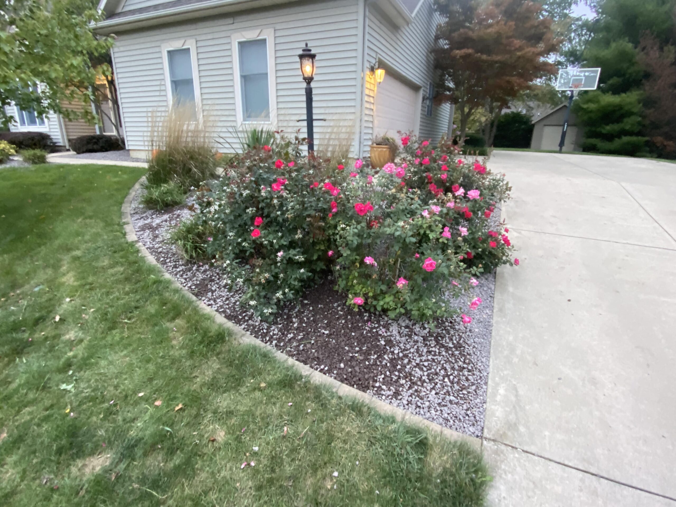 Experience the tranquility of a Krueger Lawn and Landscaping-designed garden retreat.