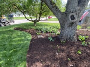 Customize your outdoor space with tailored mulch landscaping designs.