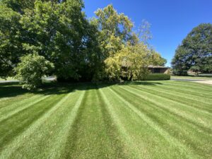 Krueger Lawn and Landscaping offers professional lawn grooming with mowing, trimming, and edging.