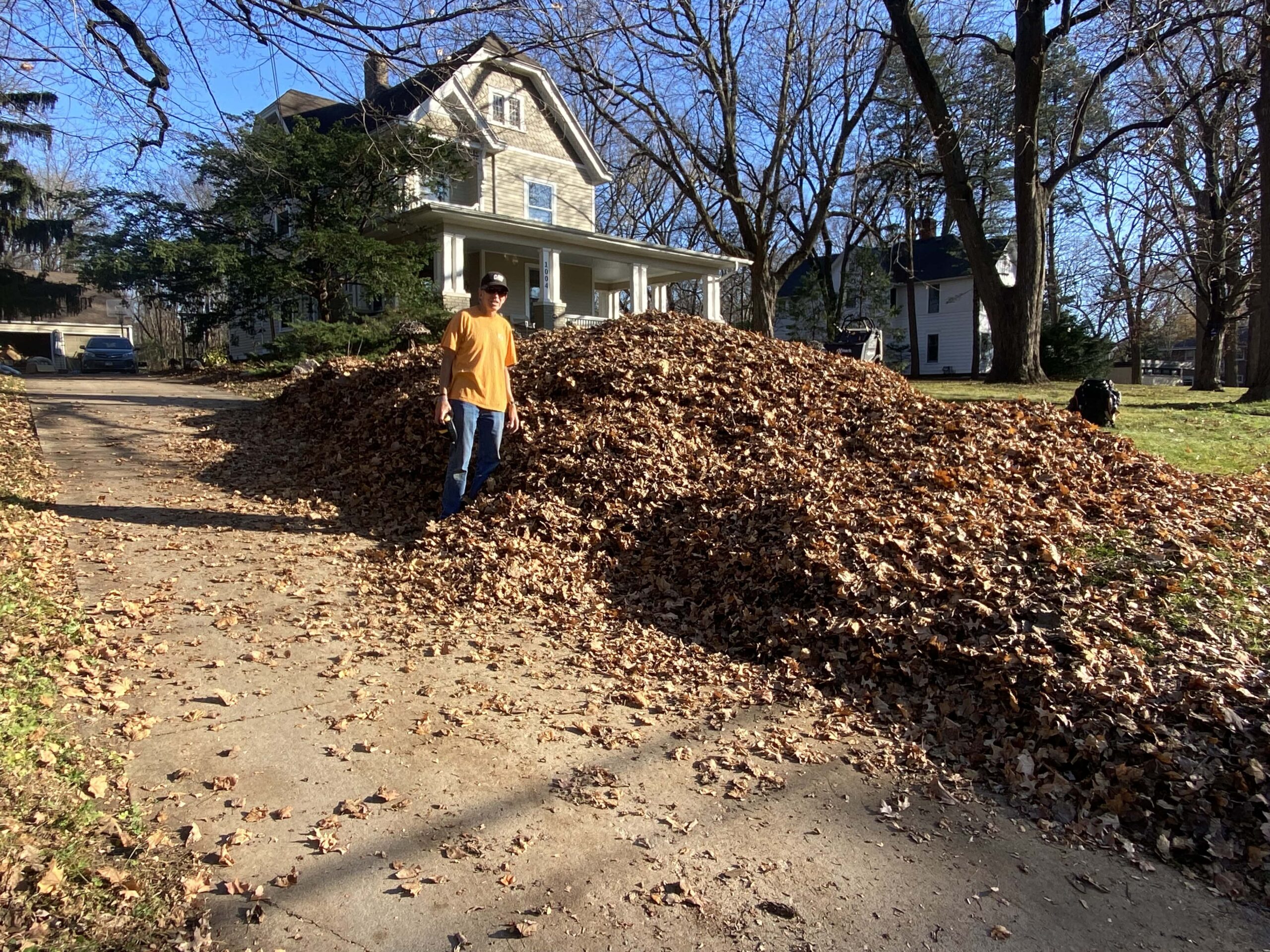 Krueger Lawn and Landscaping's fall clean-up services in action.